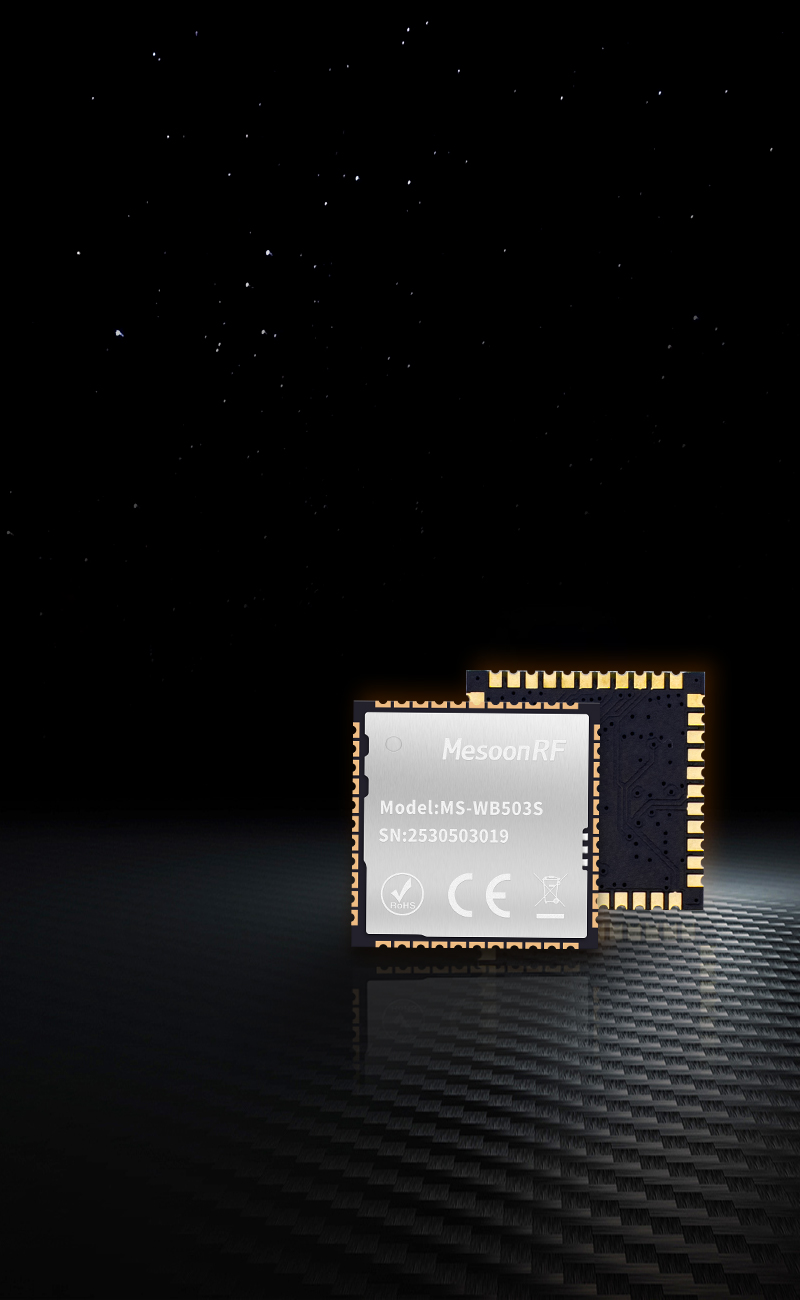 MS-WB503S
双频双模蓝牙模块